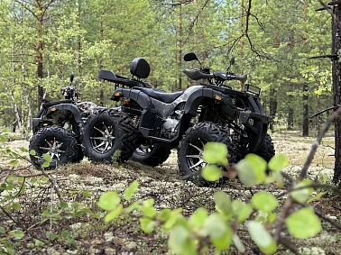 Квадроцикл PROMAX 320 DOMINATOR