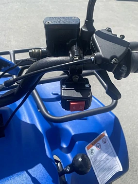 Квадроцикл IRBIS ATV 200 LUX (+лебедка)