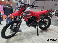 Кроссовый мотоцикл KEWS K11 PR300